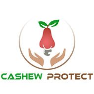 cashew logo